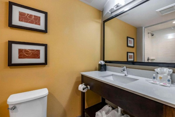 Comfort Suites Fort Lauderdale Airport South & Cruise Port image 14